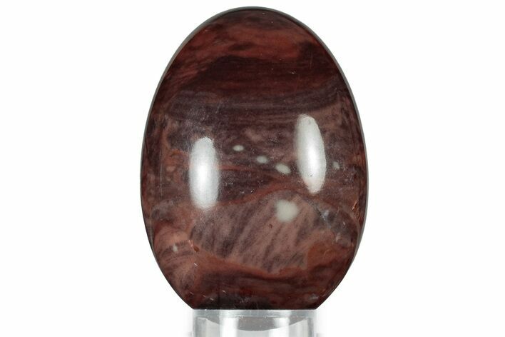 Polished Kona Dolomite (Stromatolite) Egg - Michigan #314488